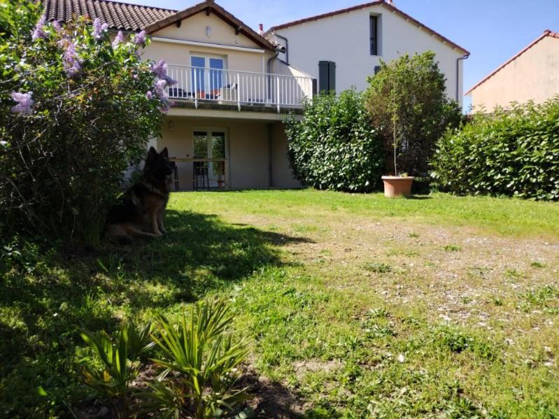 Appartement Le Pigeonnier à Millau Extérieur photo